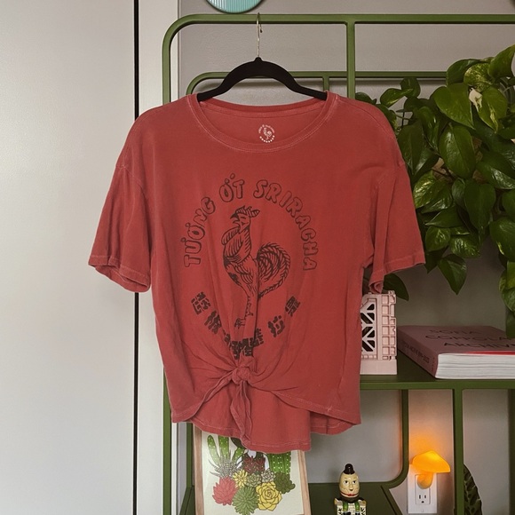 American Eagle Outfitters Tops - American Eagle Sriracha Front Tie Cropped Tee